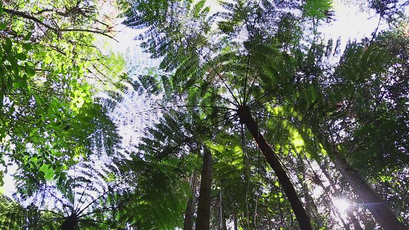 蒙自哪些景区值得去玩的,蒙自最美古镇在哪里