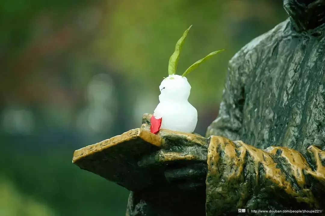 廿四节气丨和大家聊聊“大雪的几件事”