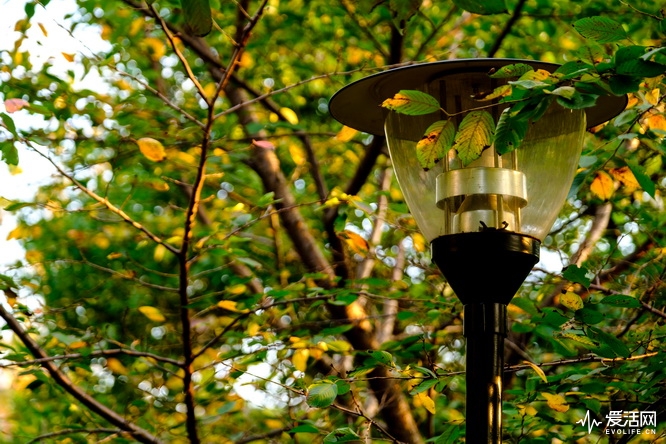 性价比之王富士x-t30无反相机推荐,富士xt3全面评测