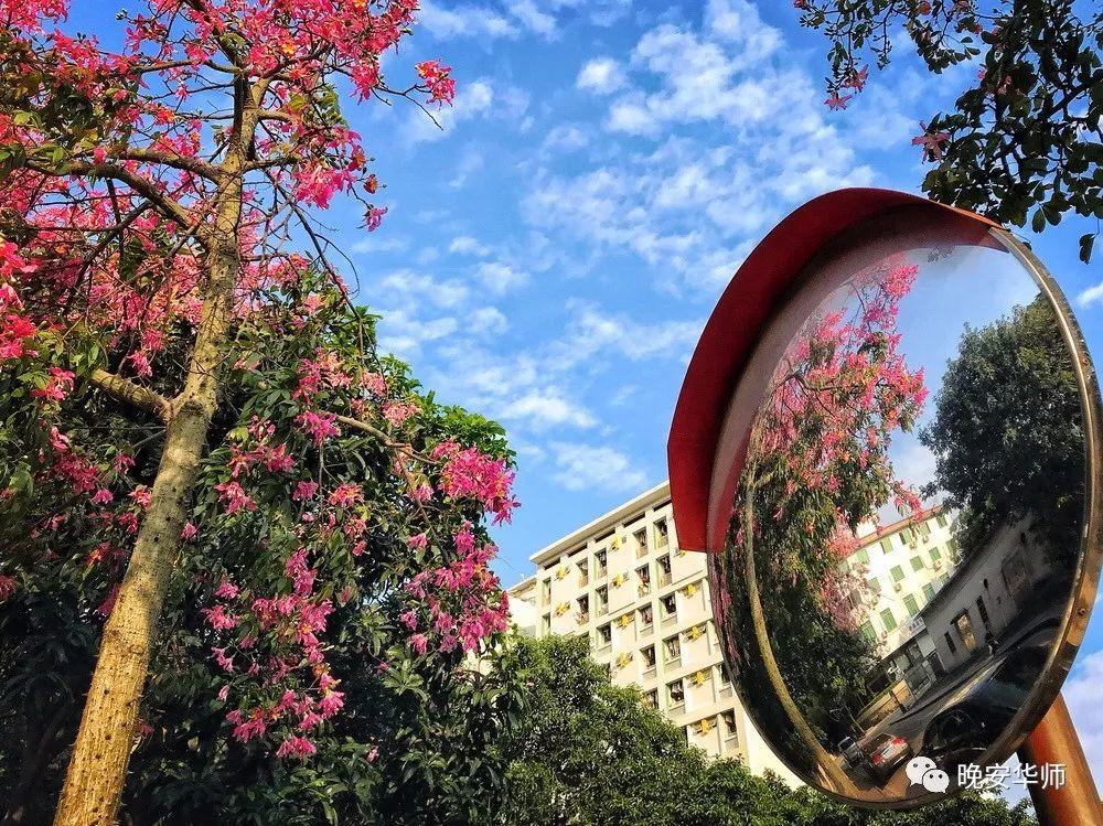 盘点那些美丽的校园时光,盘点那些美丽的校园