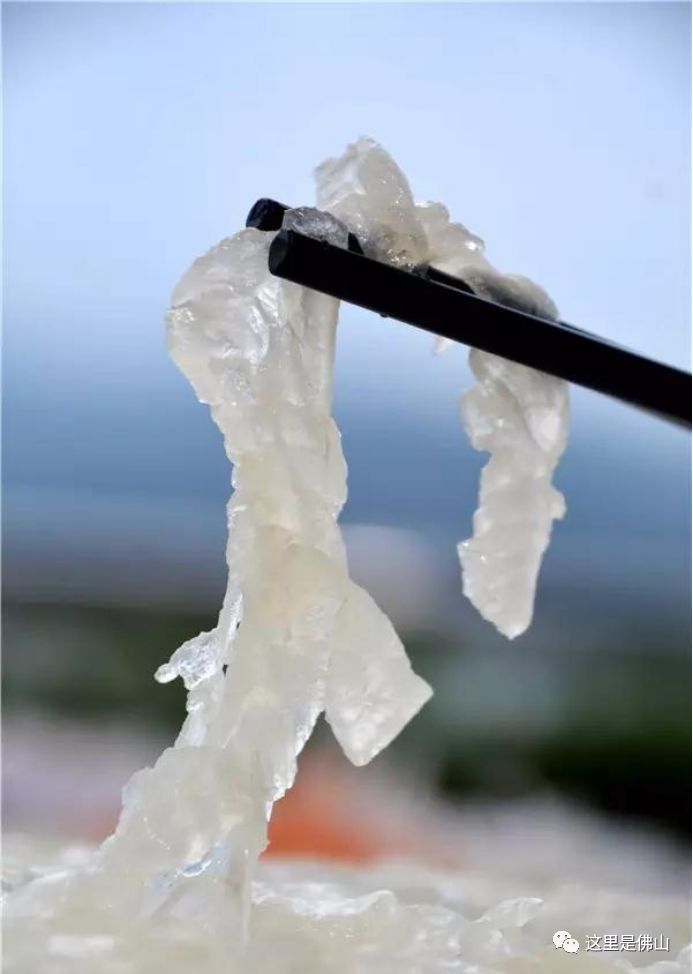 体内揪出活虫,男子体内排出活虫只因爱吃一道菜