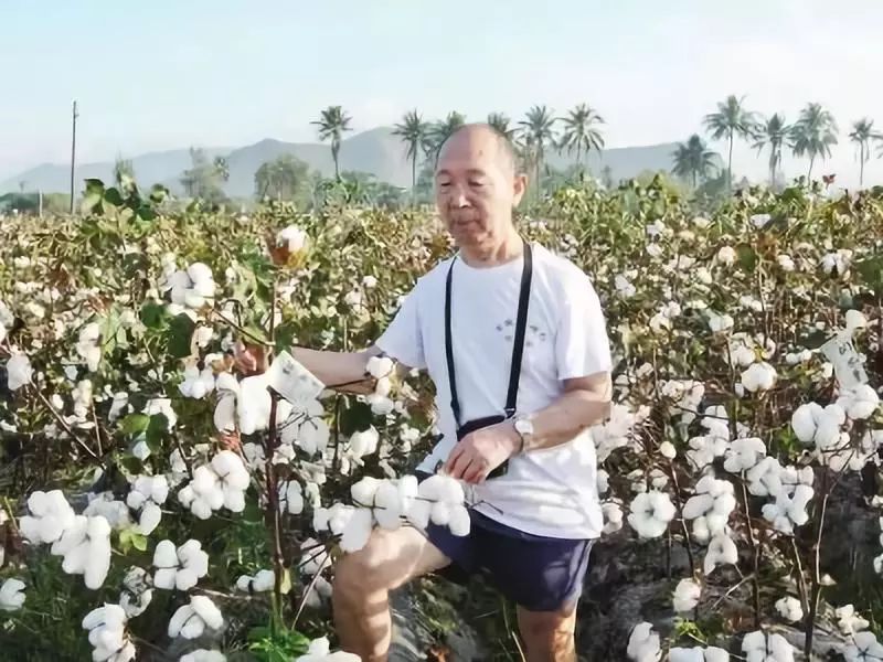 改革开放40年农村经济的变化,农村改革开放40年经济发展