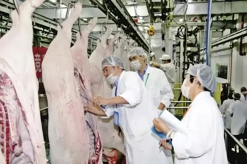 改革开放40年农村经济的变化,农村改革开放40年经济发展