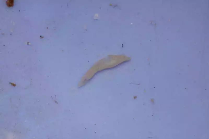 60海缸开缸全记录,1.2米的海缸开缸需要多少费用