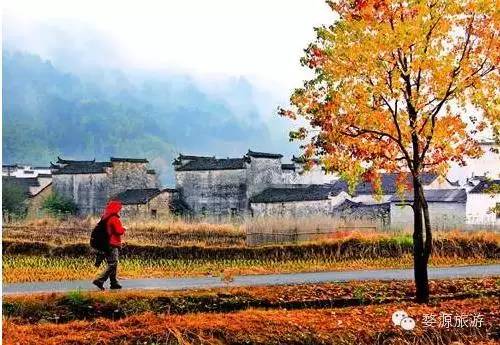 鍚勮矾鑻遍泟濂芥眽榻愯仛浜庢鐗囨,鍚勮矾鑻遍泟濂芥眽榻愯仛鍦ㄦ
