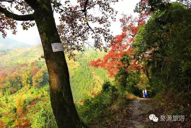 鍚勮矾鑻遍泟濂芥眽榻愯仛浜庢鐗囨,鍚勮矾鑻遍泟濂芥眽榻愯仛鍦ㄦ