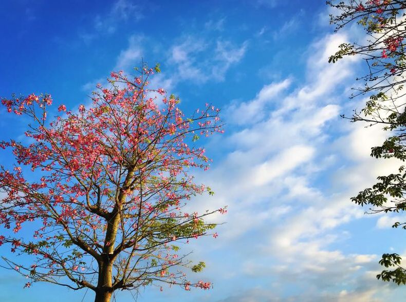 南山区民生微实事征集,南山区2022年民生实事