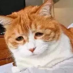 南极人恒源祥还有哪些是贴牌,南极人恒源祥是正品吗