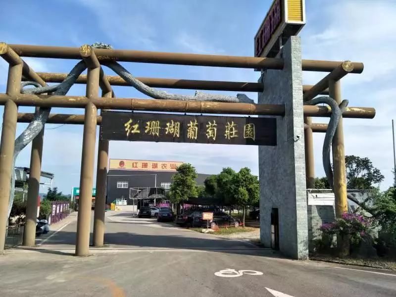 191第二期葡萄经理人培训班开始报名了！