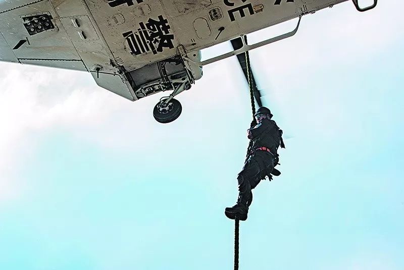 入展作品欣赏,入展作品展示