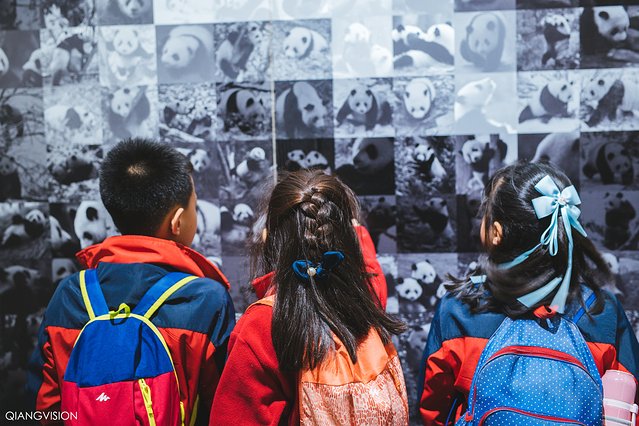 成都怎么玩一天一夜,如何在成都耍一天