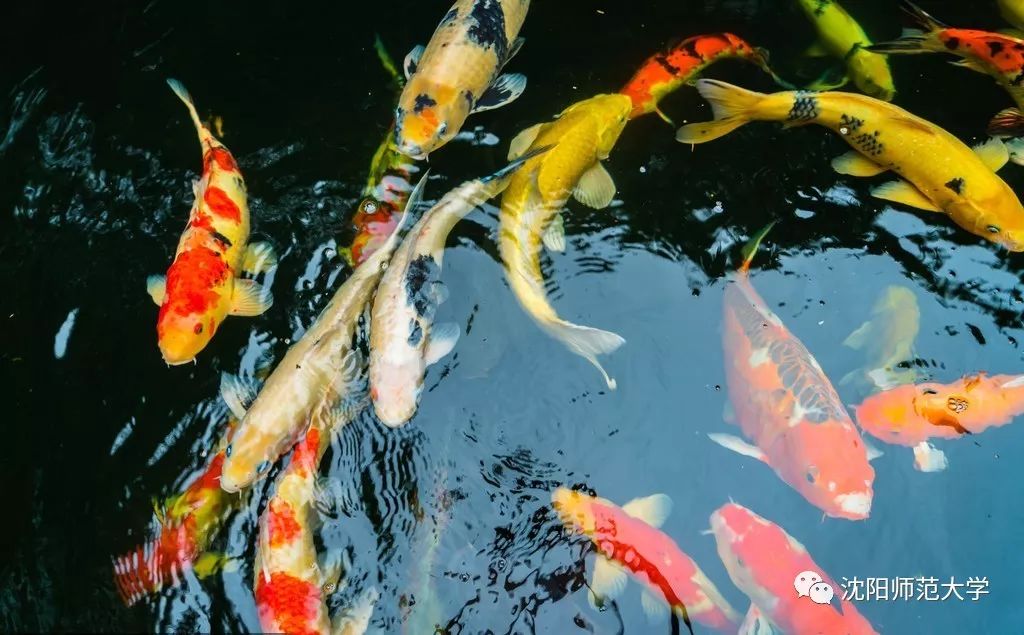 四六级考试还剩多久,四六级考试是不是很简单