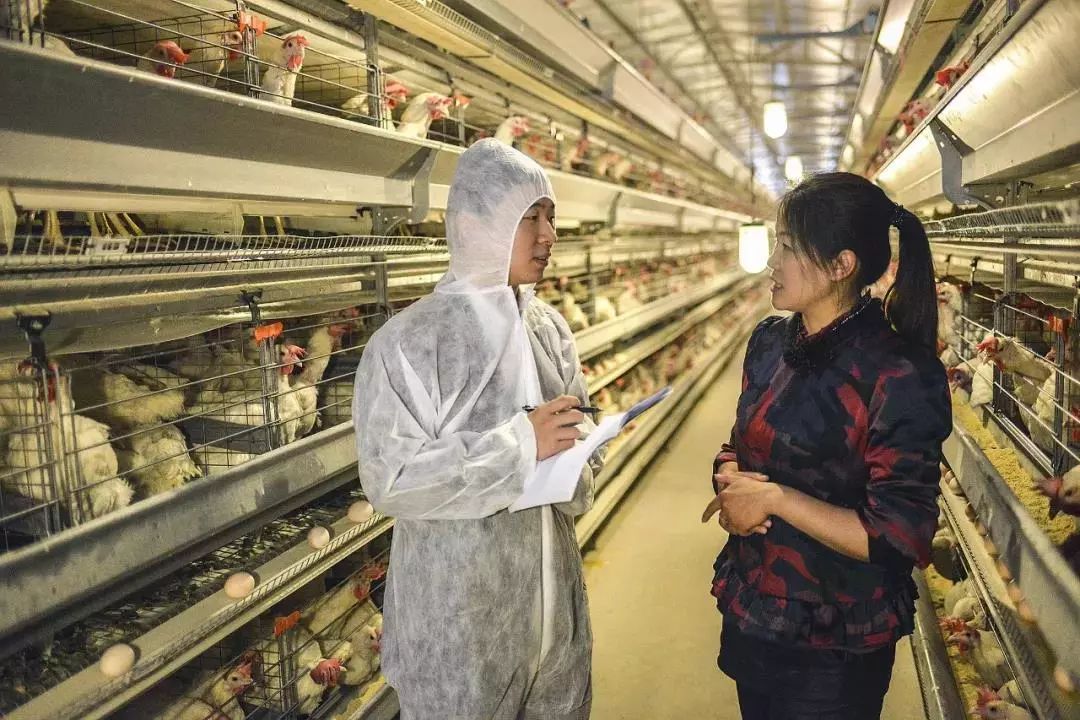 出台23项举措！江西农商银行以高质量服务促进民营企业发展繁荣