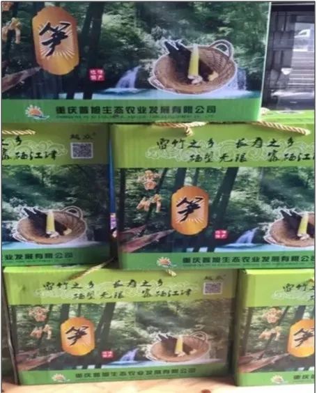 石蟆橄榄节,2019年石蟆广场橄榄节