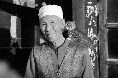 陕北方言毑读什么,毑毑是什么意思