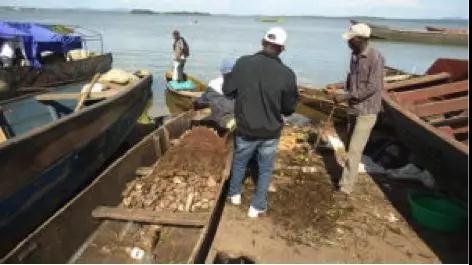 了解你的健康状态,hiv真的那么容易感染吗