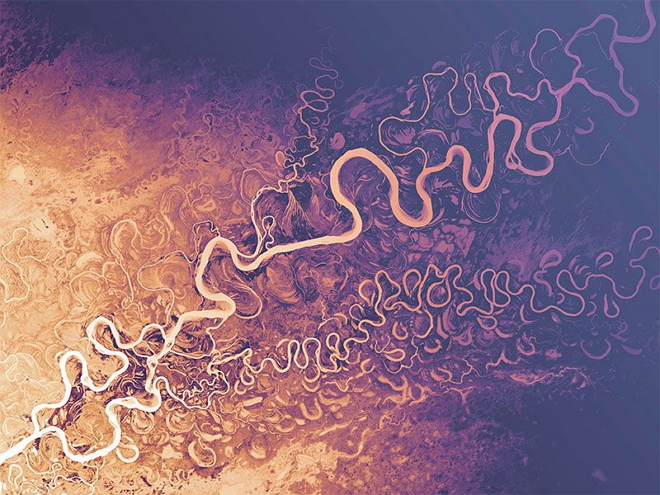 Nature：2018年度图片揭晓，中国克隆猕猴入选