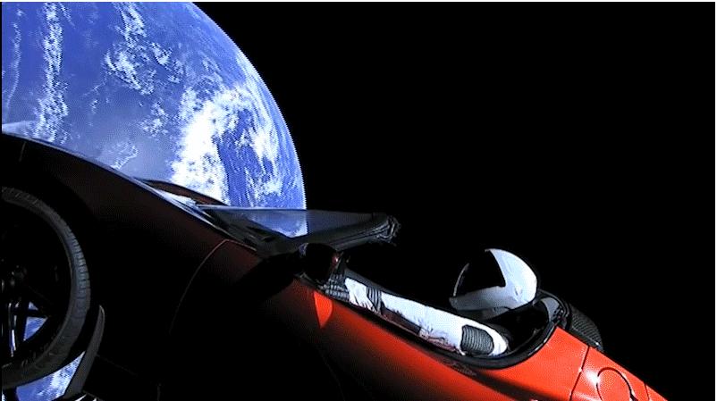 Nature：2018年度图片揭晓，中国克隆猕猴入选