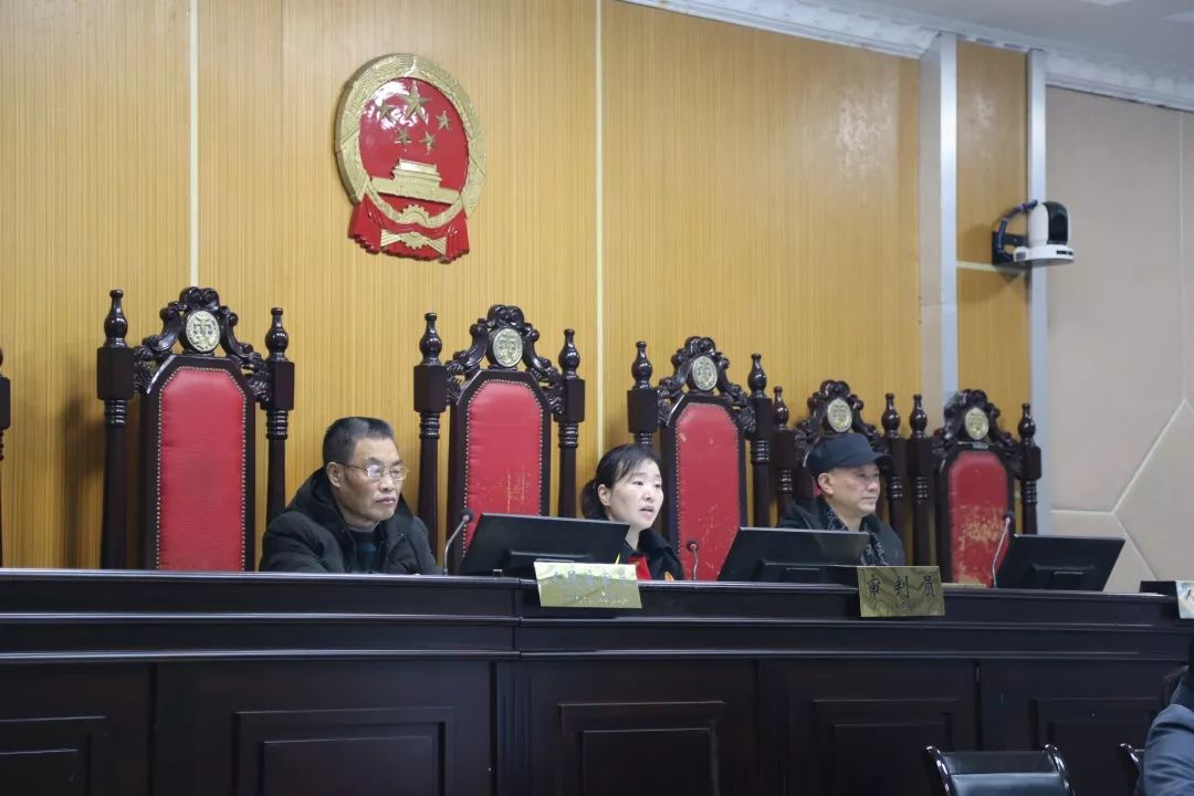 庭审直击5完整版,法院一审公开宣判诈骗案