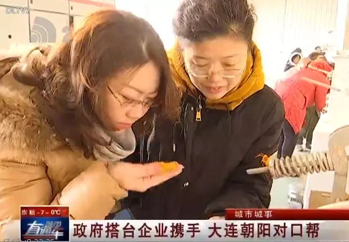 澶ц繛瀵瑰彛甯壎鏈濋槼,澶ц繛2022瀵瑰彛甯壎鍩庡競