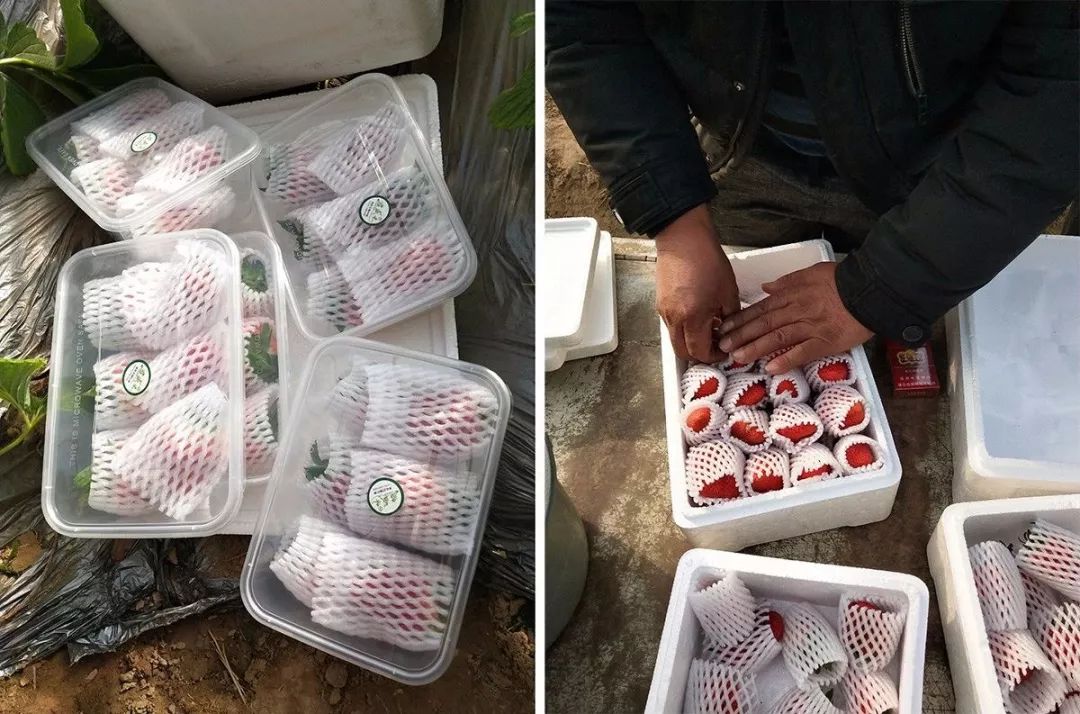 又香又甜好吃的草莓,果香四溢的草莓果酱