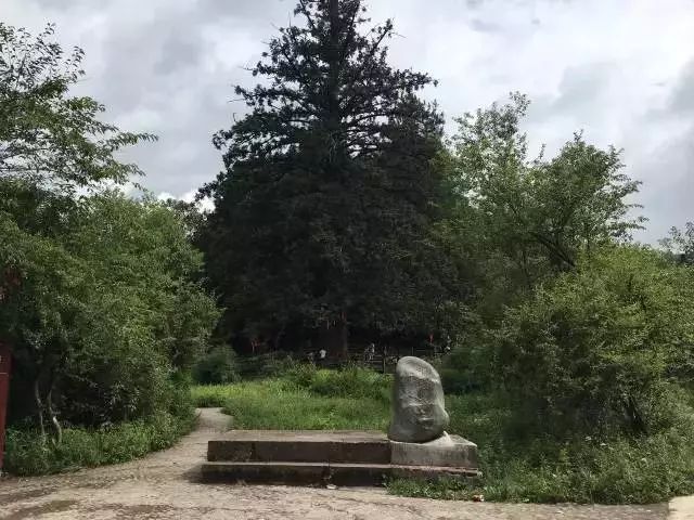 遵义市景区免费名单,遵义景区最新消息