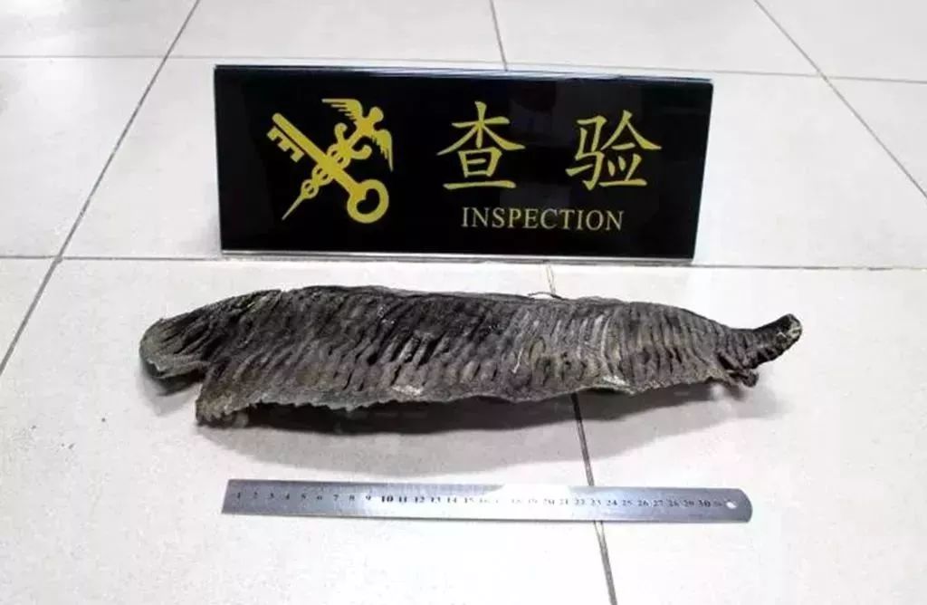 去香港逗留超过7天会罚款多少,在香港逗留超过7日罚款多少