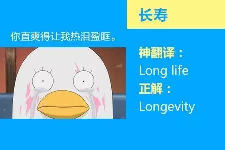 四六级神翻译,四六级翻译神评