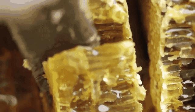 网曝同仁堂过期蜂蜜,北京同仁堂过期蜂蜜事件处理结果