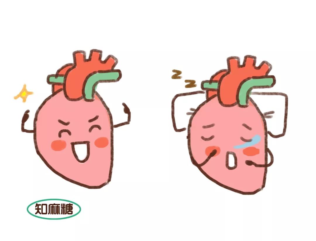 糟了是心动的感觉免费观看,糟了是心动的感觉原版