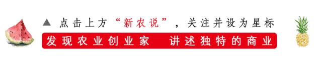 西梅到底是李子还是梅子,西梅到底是李子还是梅子呢