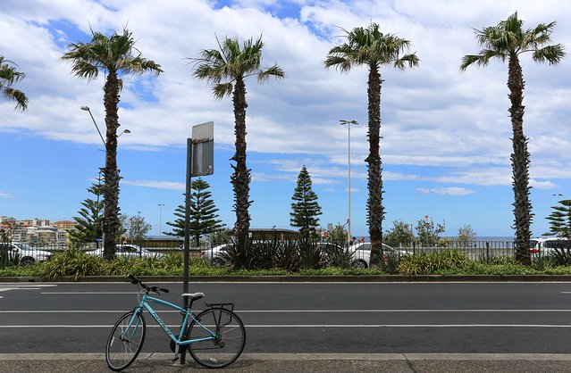 一路向南自驾游记,一路向南自驾行