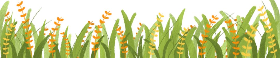 比“童言夫妇”更火爆的，可能只有鹿泉的TA们了！