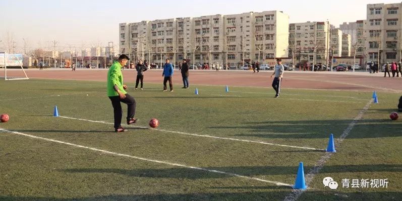 河北首次专业化举办校园足球赛事,2023年沧州校园足球比赛