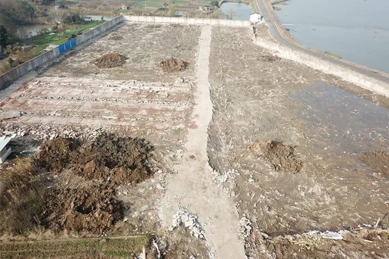 双月攻坚专项行动,每周时政播报