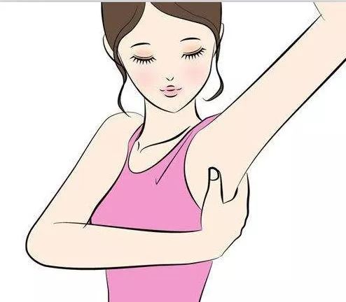 「爱乳说」淋巴需要排毒？别再被忽悠了