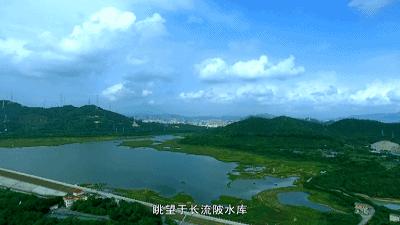 这里是新桥小学,这里是新桥