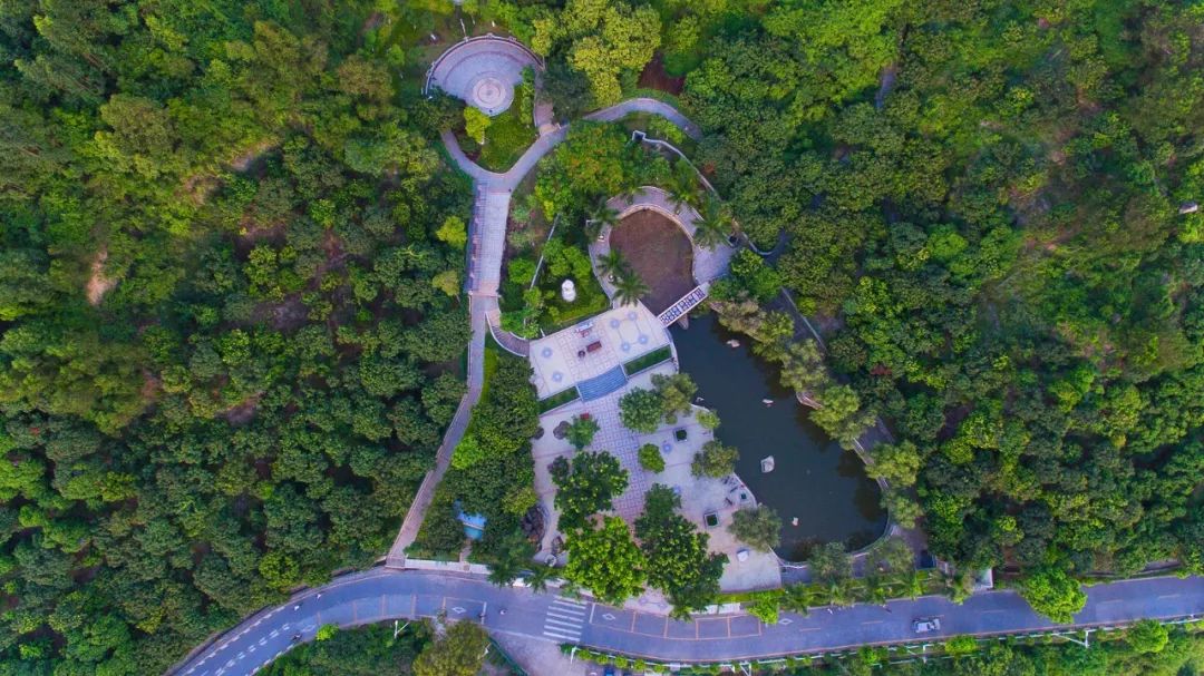 这里是新桥小学,这里是新桥