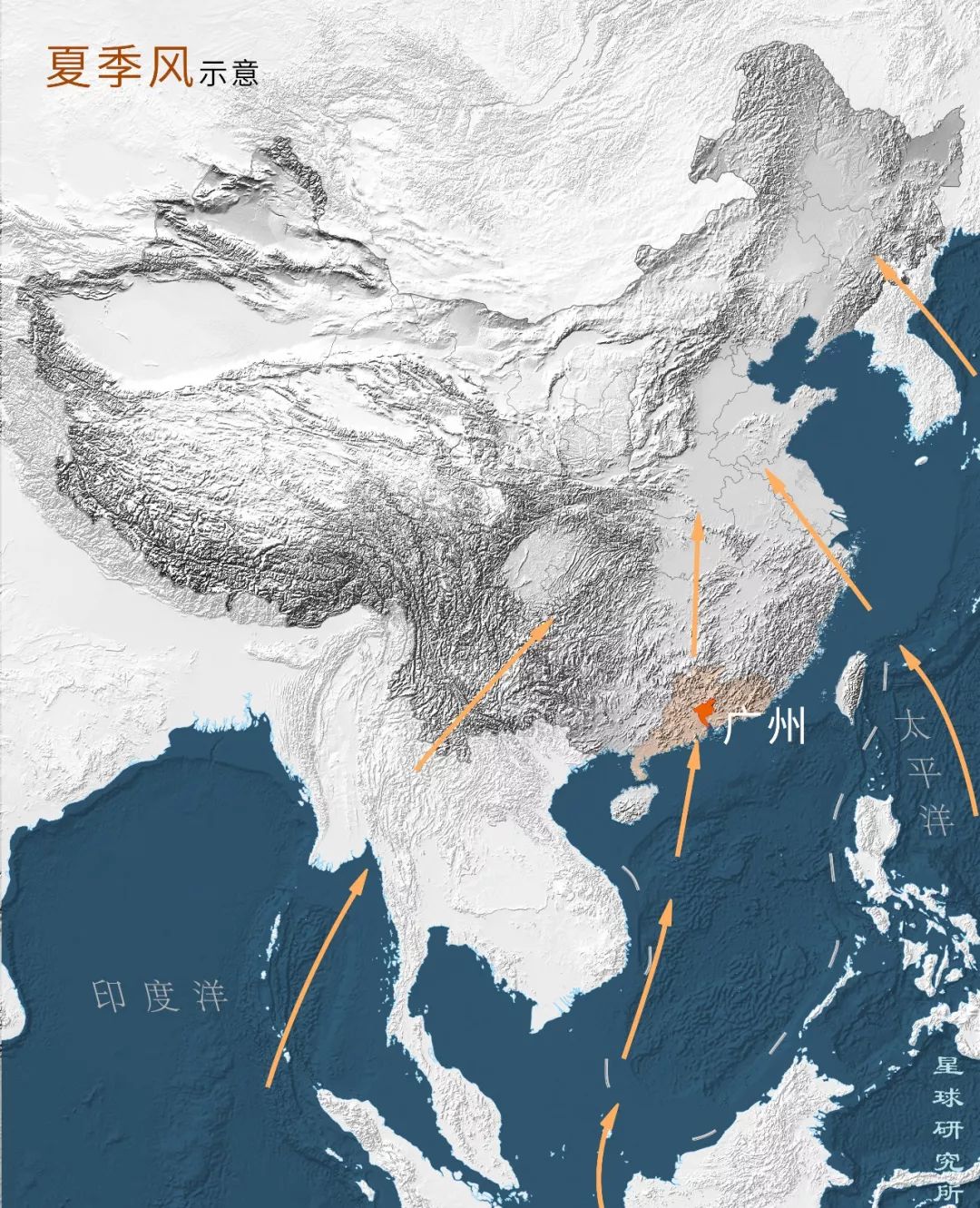 什么是广州市区,什么是桃子女孩