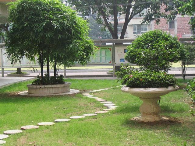 42年历史!西约这所小学用信息学撬动发展,加速崛起!