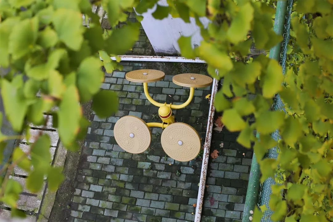 “妈，我在华师看了一场金黄色的雪！”