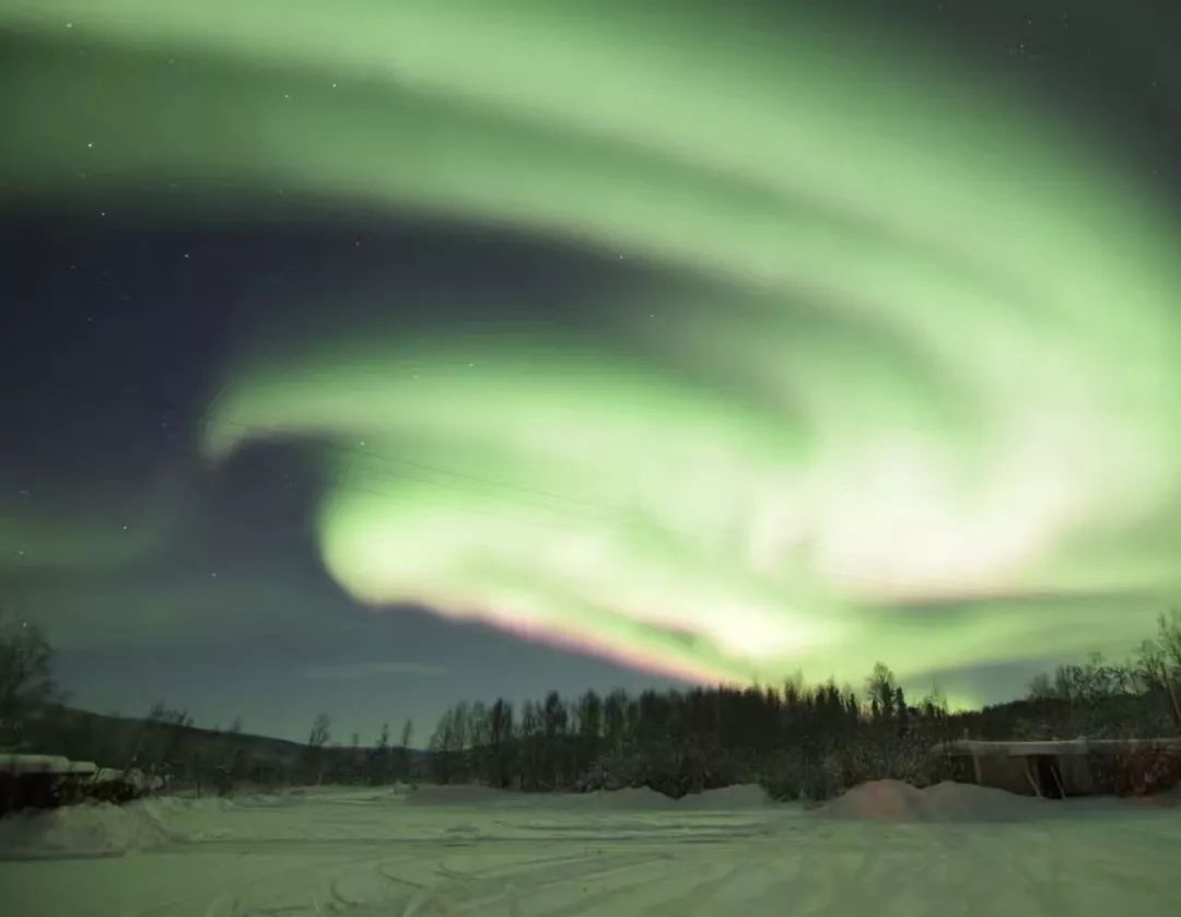 圣诞节绿毛怪格林奇,圣诞节出没的绿毛怪