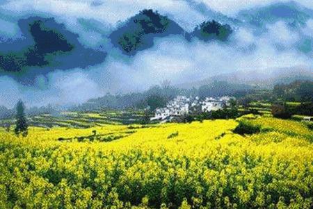 给男朋友爸妈买什么新年礼物,今年给父母最好的新年礼物