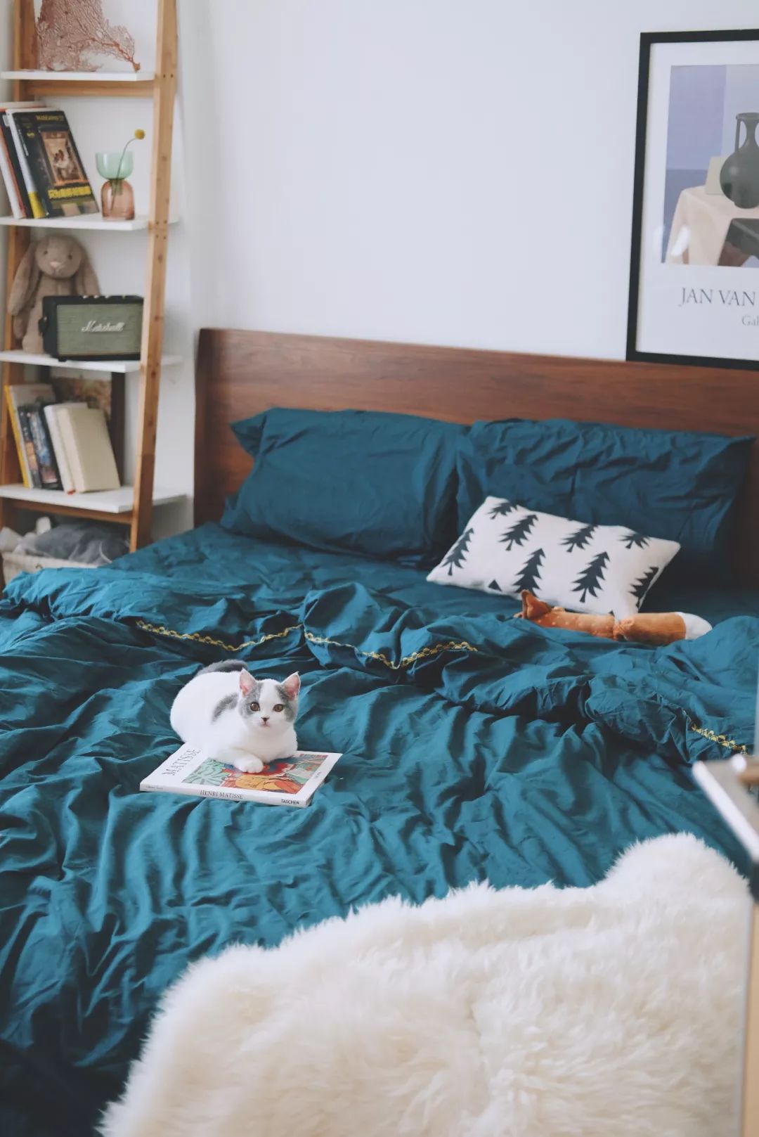 请接受一份2018年的礼物,2018年的新年礼物