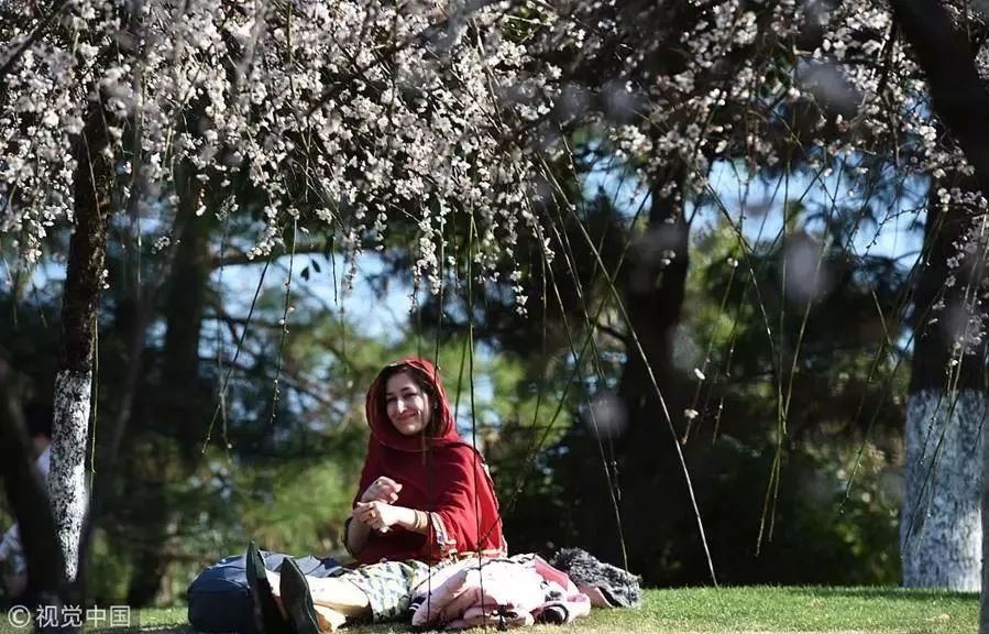 新华社今日头条,新华社官方推送