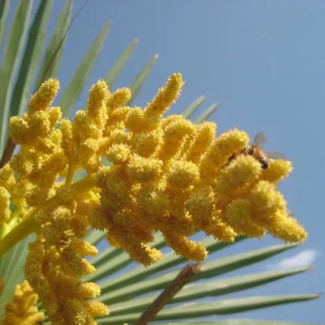 几乎零差评身体乳国货,身体乳0差评