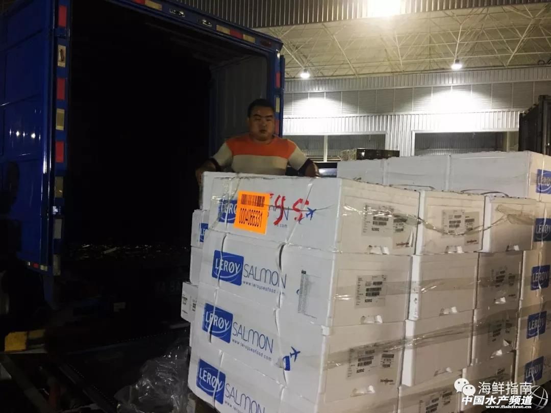 进口的三文鱼是新鲜的还是冷冻的,正宗挪威三文鱼购买渠道