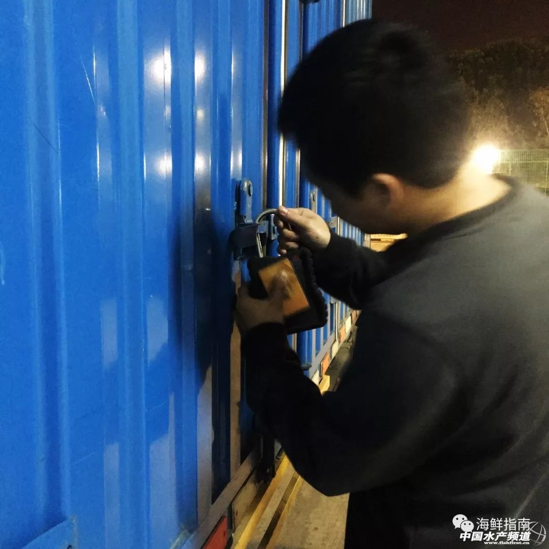 进口的三文鱼是新鲜的还是冷冻的,正宗挪威三文鱼购买渠道