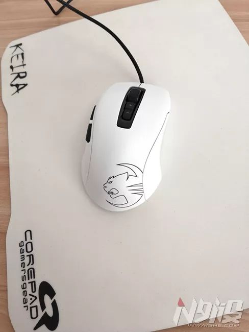 白冰豹子,黑冰和白冰视频