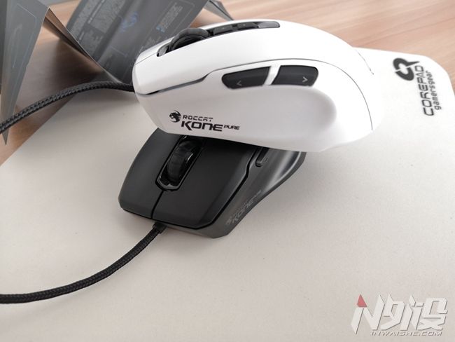 白冰豹子,黑冰和白冰视频